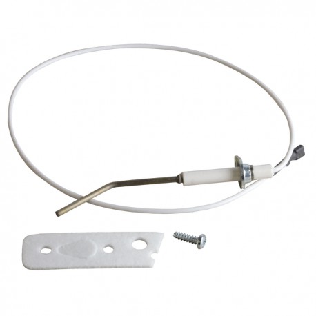 Sonde d'ionisation complète et joint - DE DIETRICH CHAPPEE : 83886533