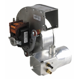 Extracteur 24kW - RIELLO : 4050017