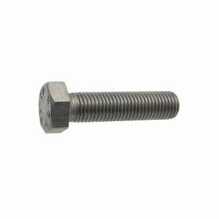 Lot vis 16x100 pour vanne oreille de centrage  (X 8)