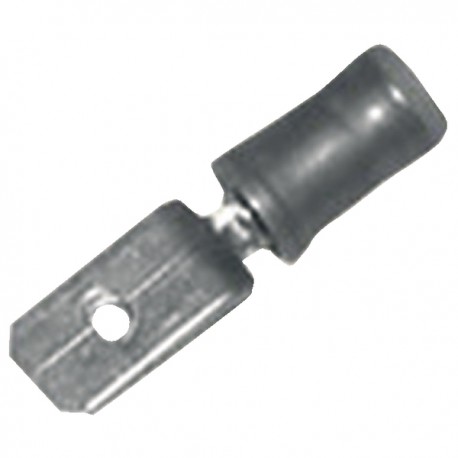 Cosse faston mâle (X 12)
