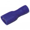 Cosse FASTON femelle isolée 6.35 (X 50)