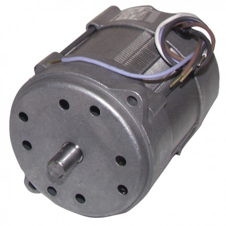 Moteur 150W p/15M/20M - RIELLO : 3005820