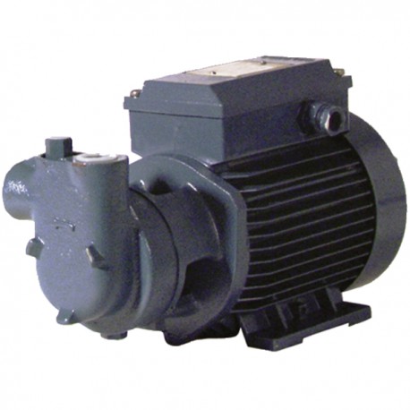 Groupe de transfert basse pression CAM 60 750l/h