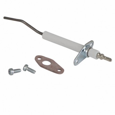 Groupe électrode de détection - COSMOGAS : 62632007