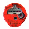 Compteur divisionnaire eau chaude AQUADIS - ITRON : AQP15110WQBR160ET