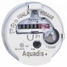 Compteur divisionnaire eau froide AQUADIS - ITRON : AQUAP15110EMB