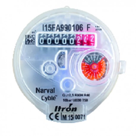 Compteur divisionnaire eau froide NARVAL 3/4" - ITRON : 6UKB15Y110BR50LCBXN_FR