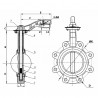 Vanne papillon à oreilles taraudées fonte DN125 - DIFF