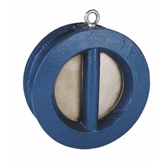 Clapet double battant fonte DN100 - SFERACO : 370100