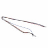 Câblage vanne gaz - CHAFFOTEAUX : 65116580