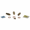 Kit injecteur g20 pegasus dk 1 - FERROLI : 39827100