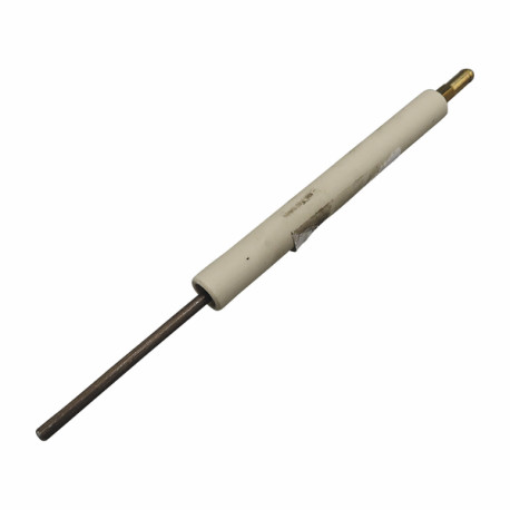 Electrode - DE DIETRICH CHAPPEE : S3007988