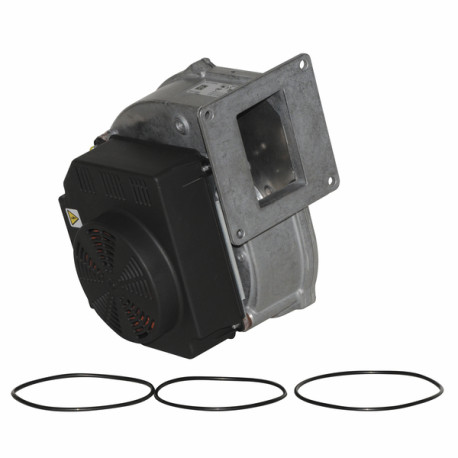 Ventilateur complet ebm g1g170 - ATLANTIC : 060438