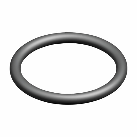 Joint d'anode ballon (2 jeux de 5) (X 5) - ELM LEBLANC : 87167622050