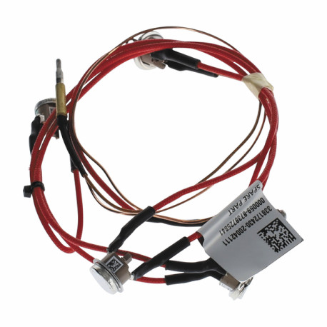 Thermocouple avec limiteurs de température - ELM LEBLANC : 8738726407