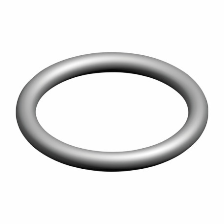 Joint torique 16x2 (X 10) - ELM LEBLANC : 87002051340