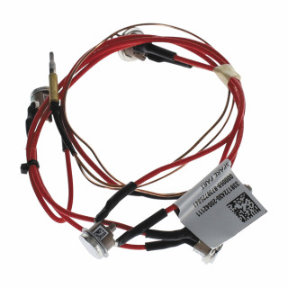 Thermocouple avec limiteurs de température - ELM LEBLANC : 8738726407