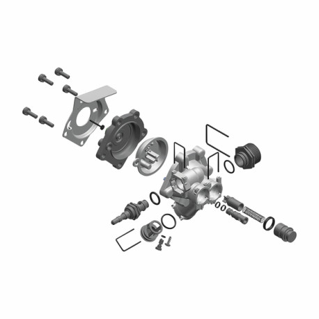 Robinet d´eau (Membrane ovale) (noir) - BOSCH : 8738728064