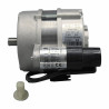 Moteur AEG 90W (code 881084021) - CHAPPEE : S58209849