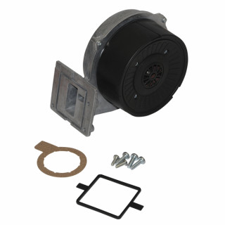 Extracteur - VAILLANT : 0020228304