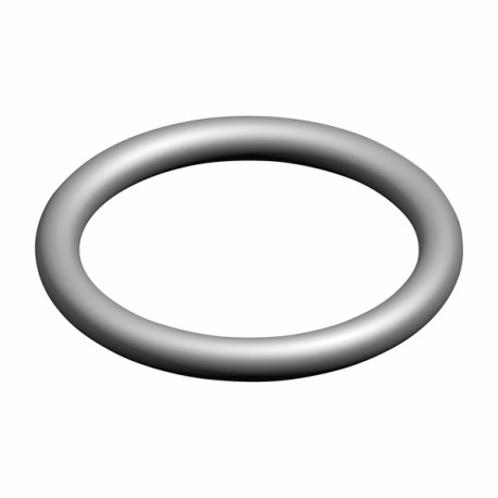 Joint torique (X 10) - ELM LEBLANC : 87002051470