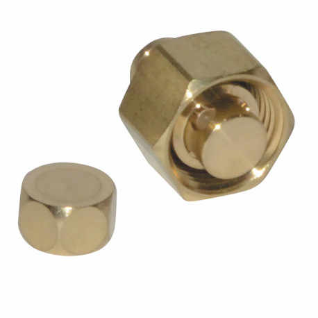 Robinet vidange complet - DIFF pour Frisquet : F3AA40790