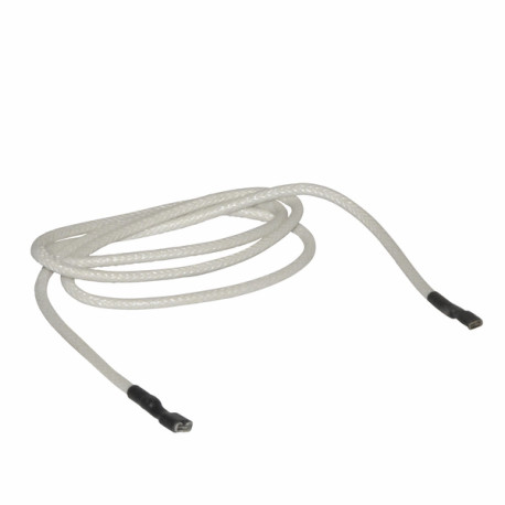 Cable electrodes d ionisation (X 2) - CHAPPEE : JJJ008418870