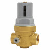 Réducteur de pression RINOX INFINITY F3/4" - RBM : 42910500