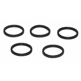 Lot de joints siphon condensat (x5) (X 5) - FRISQUET : F3AA40987
