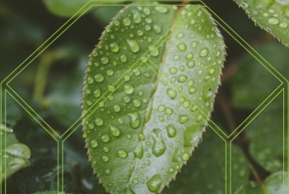 Chauffage à condensation : la renaissance d’une ancienne méthode